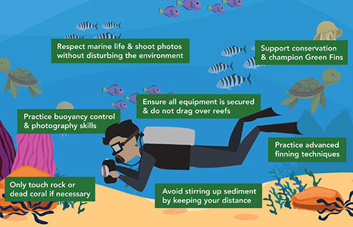 Green Diving: Do's and Don'ts and Best Practices