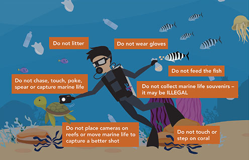 7 Things Divers Must Not Do