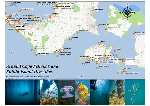 Around Cape Schanck and Phillip Island Dive Sites