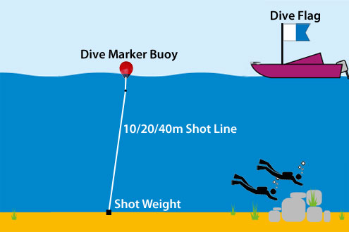 Diving with Shot Lines