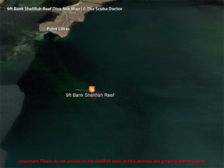 9ft Bank Shellfish Reef Dive Site Map