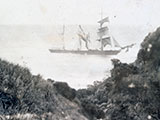 Fiji Shipwreck