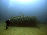 Gulf of Carpentaria Shipwreck Dive