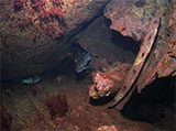 SS Orungal Dive