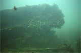 Regia Shipwreck