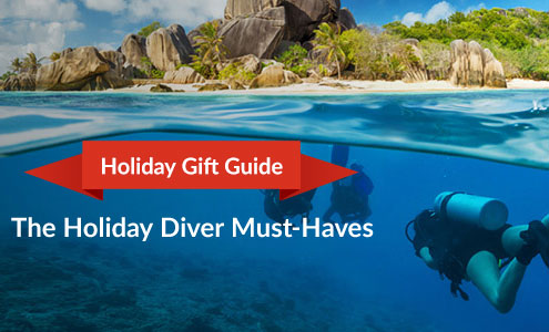 Holiday Diver Must-Have Gifts