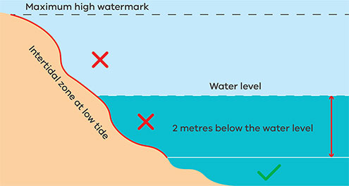 Intertidal zone at low tide