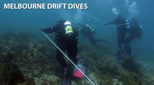 Melbourne Drift Dives by The Scuba Doctor