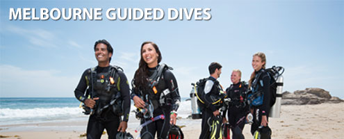 Melbourne Guided Dives