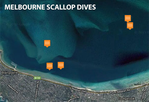 Melbourne Scallop Dives