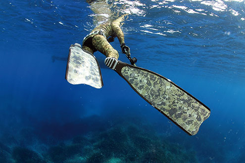 Melbourne Spearfishing Sites