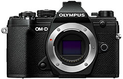 Olympus OM-D E-M5 III Mirrorless Camera