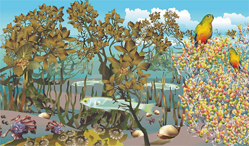 Saltmarshes and Mangroves