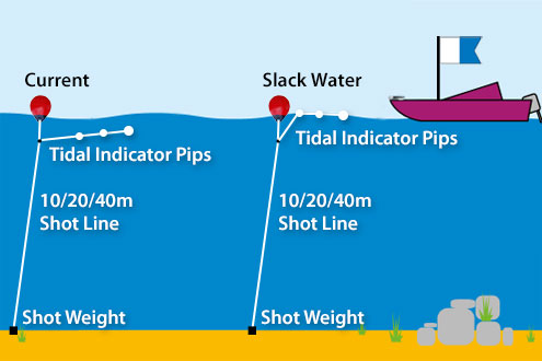 Tidal Indicator Pip/Buoy Line
