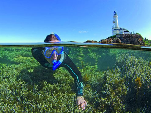 Snorkelling in Melbourne's Marine Parks