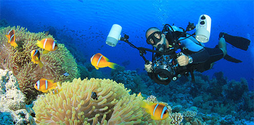 Underwater Photography and Videography from The Scuba Doctor
