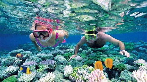 Using Your Snorkelling Gear