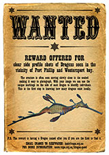 Wanted: Dragon Quest