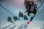 PADI Open Water Diver - SCHEDULED GROUP