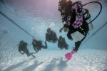 PADI Open Water Diver - ONE-ON-ONE