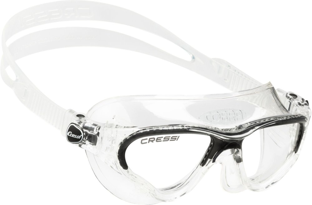 Cobra Goggles - Click Image to Close