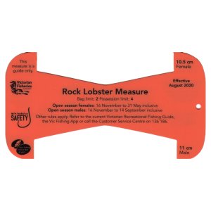 VFA Rock Lobster Measure