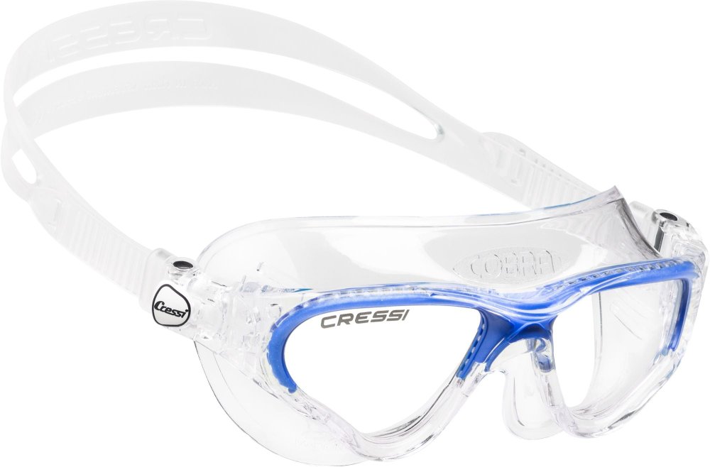 Cobra Goggles - Click Image to Close