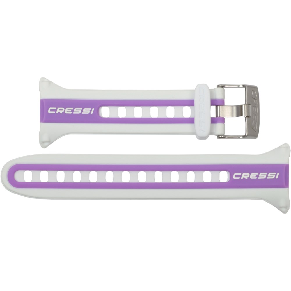 Watchband for Watch Style Computers - Click Image to Close