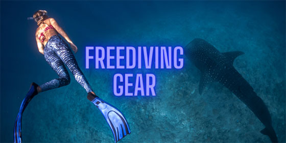 Freediving Gear at The Scuba Doctor