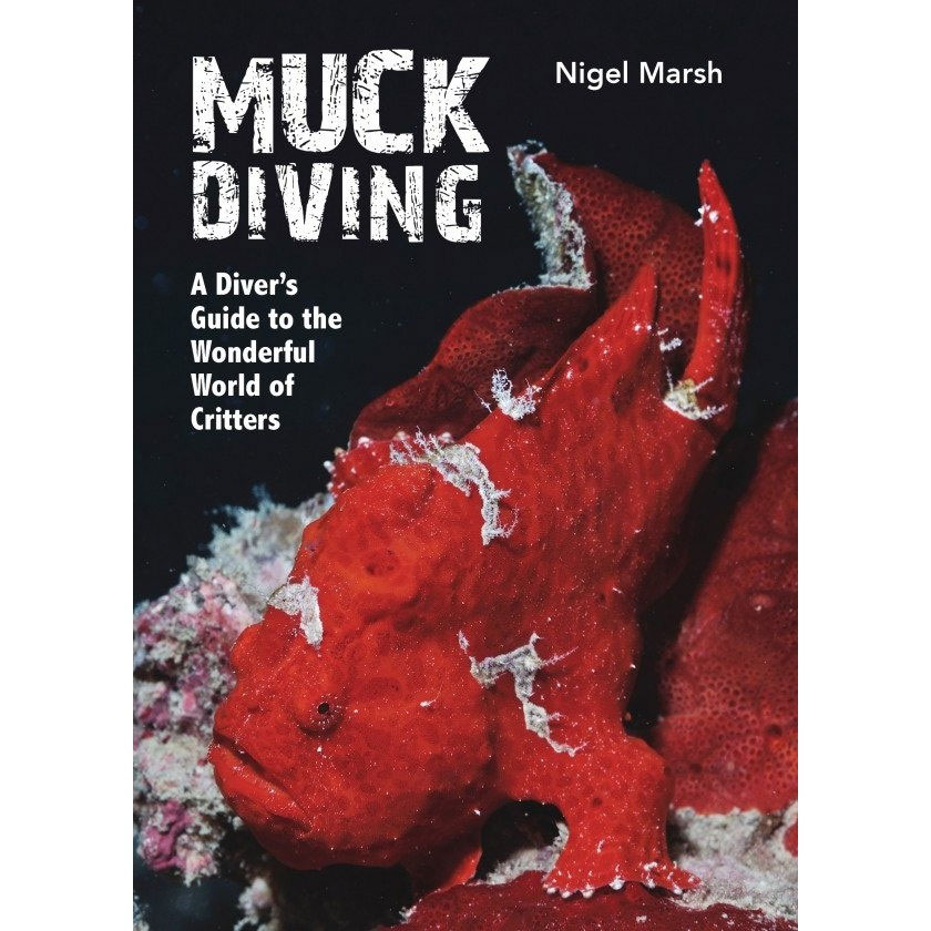 Muck Diving