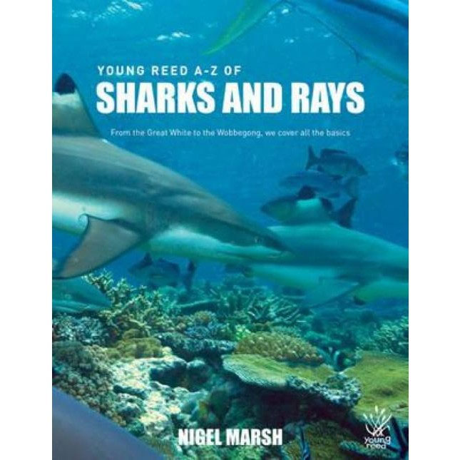 A-Z Of Sharks and Rays (Children's Read)