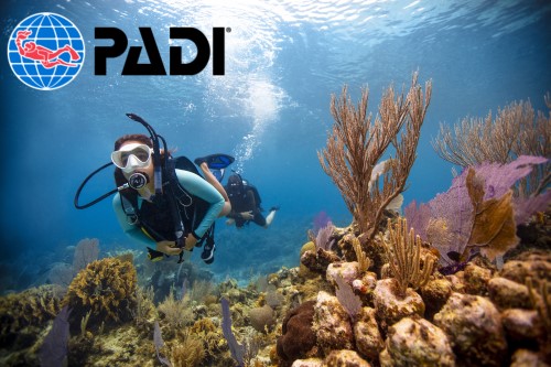 PADI Open Water Diver - ONE-ON-ONE