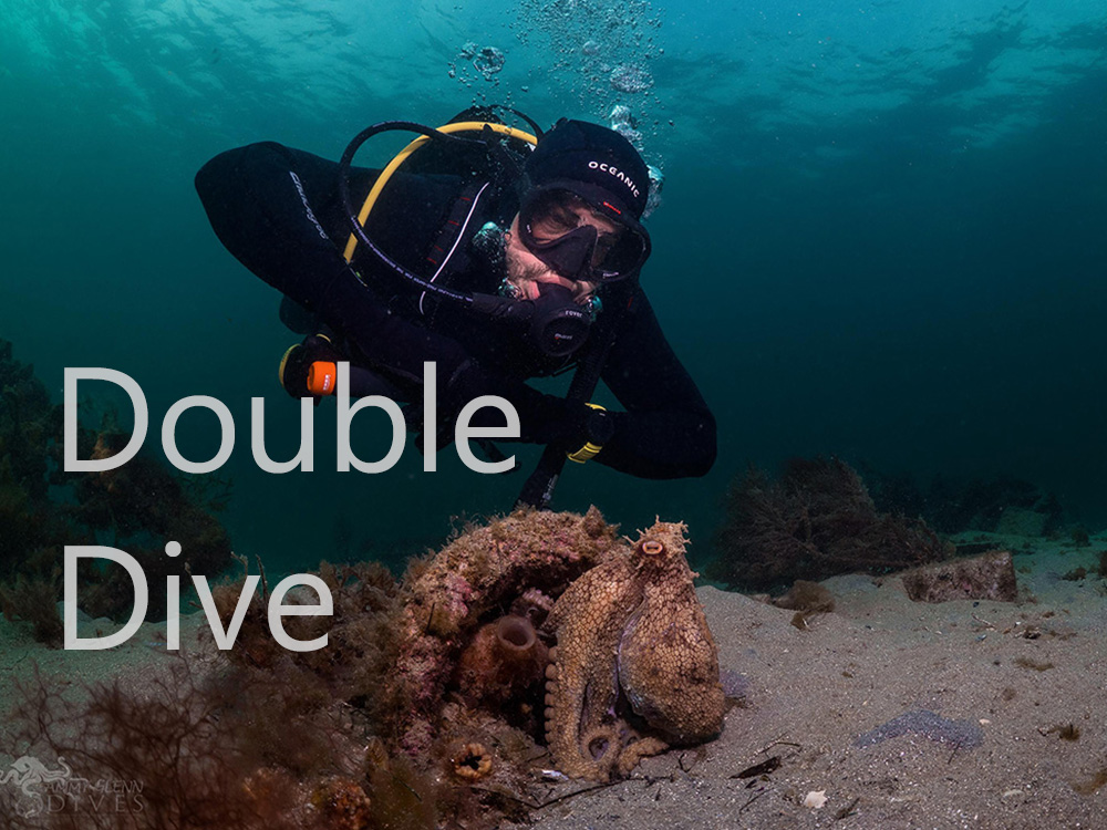 Discover Local Diving - Double Guided Shore Dive