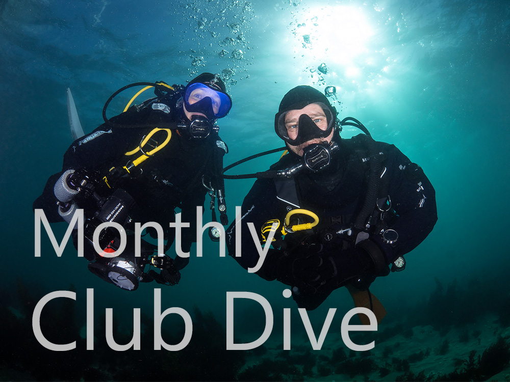 Monthly Club Dive