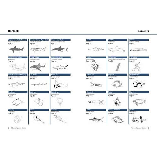 Marine Species Guide - Click Image to Close