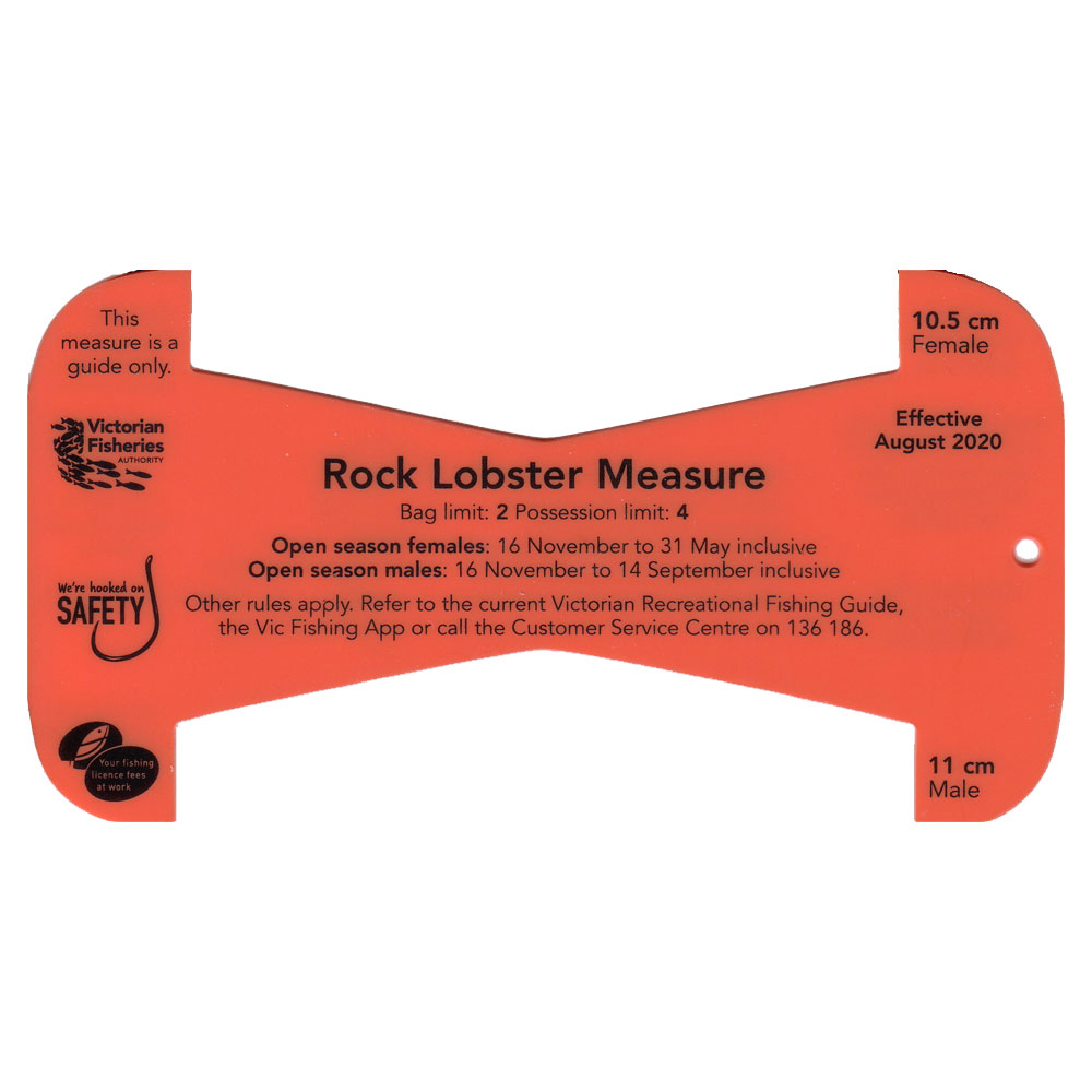 VFA Rock Lobster Measure