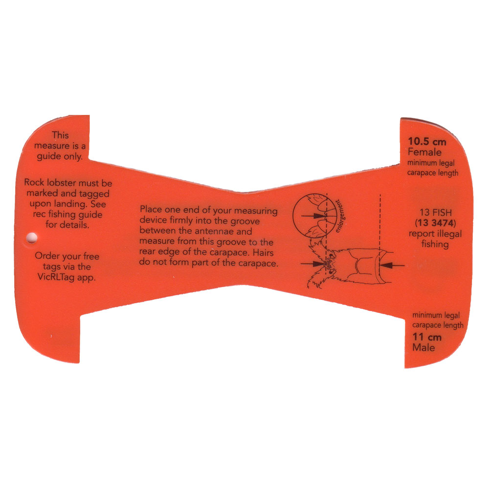 VFA Rock Lobster Measure - Click Image to Close